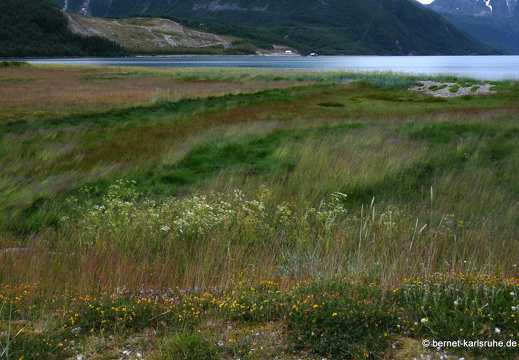 09-07-07-A-1086