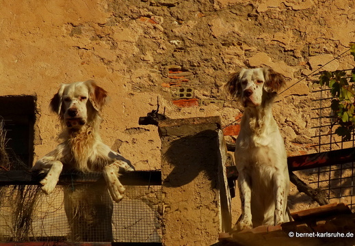 14-11-02-bocairent-127