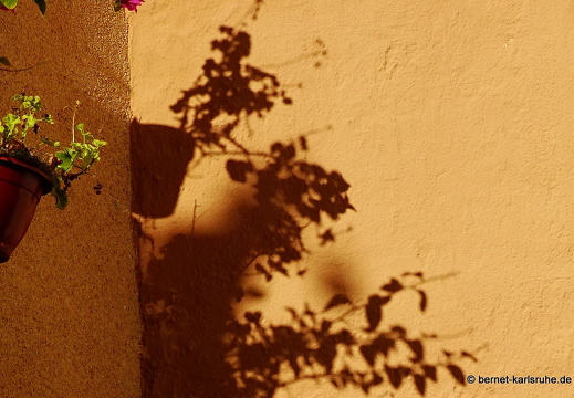 14-11-06-bocairent-225