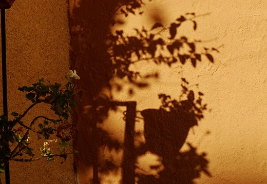 14-11-06-bocairent-226