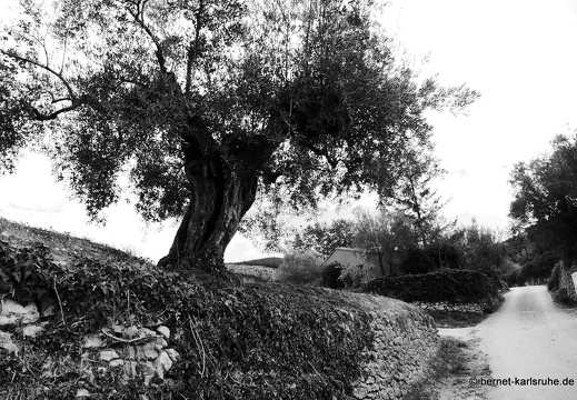 14-11-07-bocairent-037