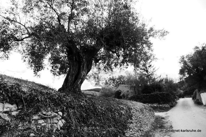 14-11-07-bocairent-037.JPG