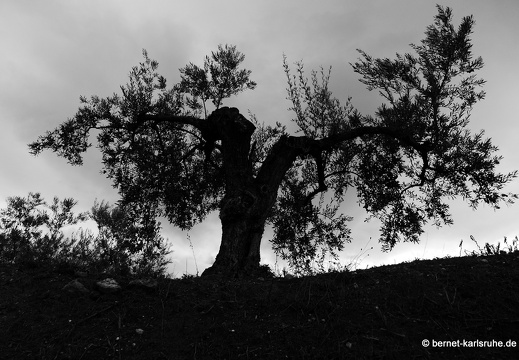 14-11-07-bocairent-079