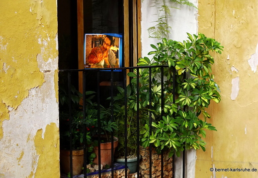 14-11-12-bocairent-064