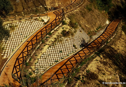 14-11-13-ontinyent-157