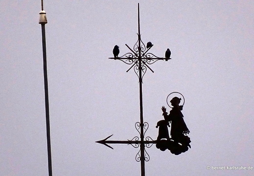 14-11-14-ontinyent-031