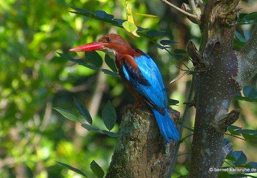 Sri Lanka 2014
