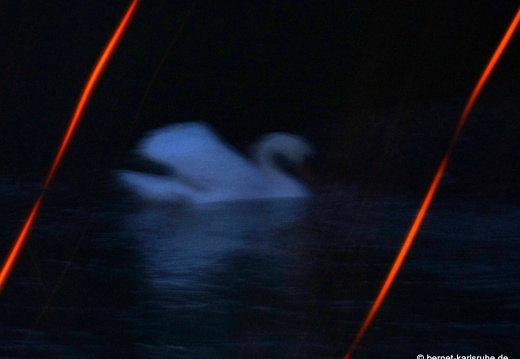 09-04-10-duesseldorf-nacht-ostpark-93