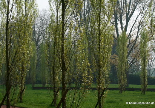 09-04-11-duesseldorf-flora-118