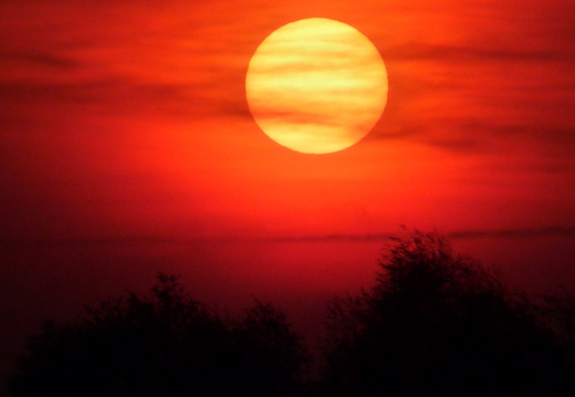 09-04-11-duesseldorf-sonnenuntergang-142