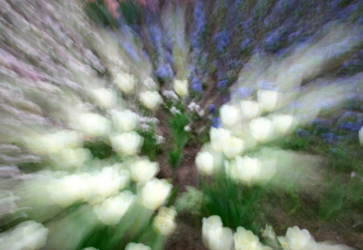 09-04-12-duesseldorf-flora-201