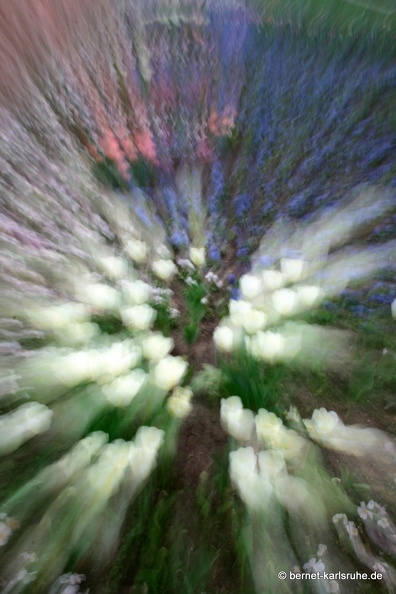 09-04-12-duesseldorf-flora-201.jpg