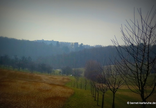 13-03-05-ochsenweg-007