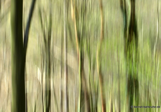 13-04-17-durlach-bergwaldstrasse-085