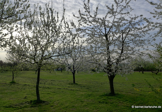 13-04-26-gruenwettersbach-014