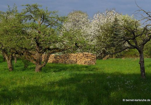 13-04-26-gruenwettersbach-042