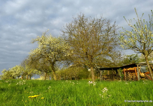 13-04-26-gruenwettersbach-046