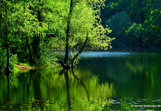 13-05-08-oberwald-049
