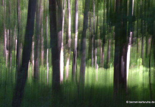 13-05-08-oberwald-064