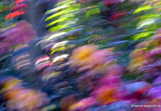 13-06-13-schlossplatz-051