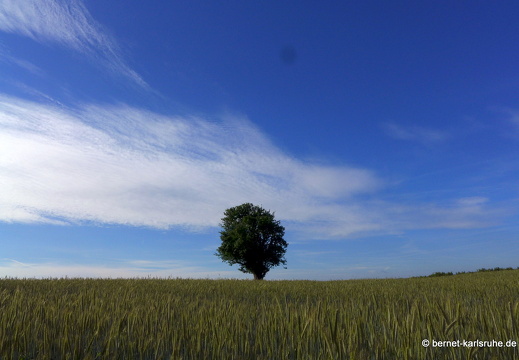 13-06-16-richtung stupferich-191