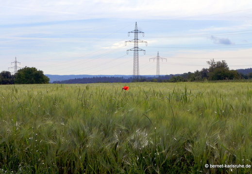 13-06-16-richtung stupferich-193
