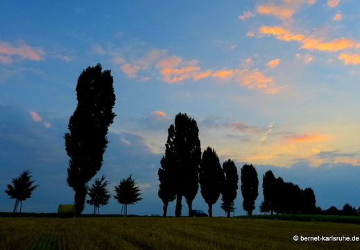13-08-11-pappelallee-sonnenaufgang-016