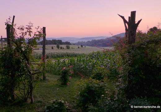 13-08-15-rittnerthof-sonnenaufgang-010