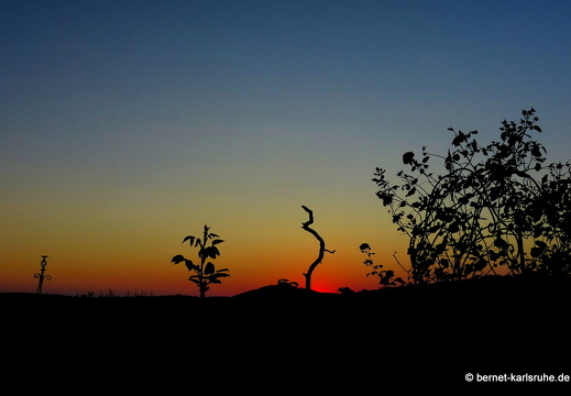 13-08-15-rittnerthof-sonnenaufgang-028