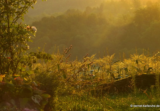 13-08-15-rittnerthof-sonnenaufgang-108