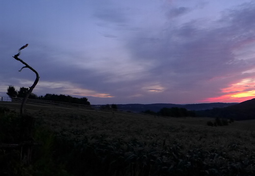 13-08-18-rittnerthof-sonnenaufgang-010