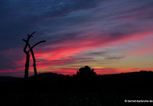 13-08-18-rittnerthof-sonnenaufgang-015