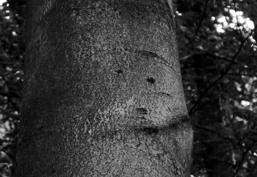 13-08-23-brutgebiet-045