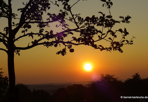 13-08-30-gruenwettersbach-sonnenaufgang-118