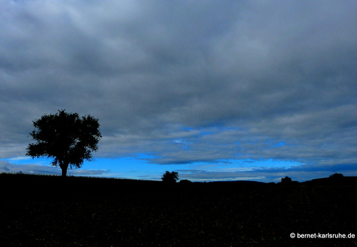 13-09-08-batzenhof-001