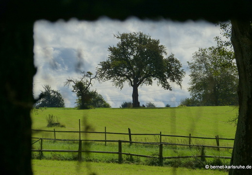 13-09-08-batzenhof-009
