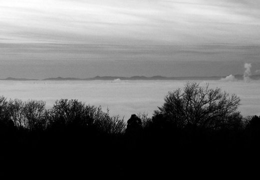 13-12-30-karlsruhe-im-nebel-017
