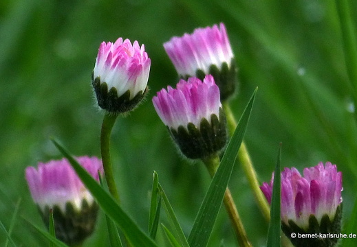 13-04-26-gruenwettersbach-053