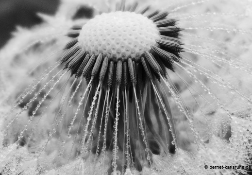 13-05-08-oberwald-111