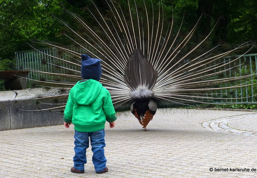 13-05-14-zoo-stadtgarten-020