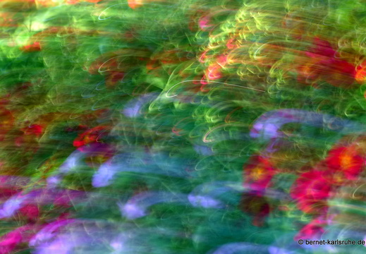 13-06-17-stadtgarten-rosengarten-042