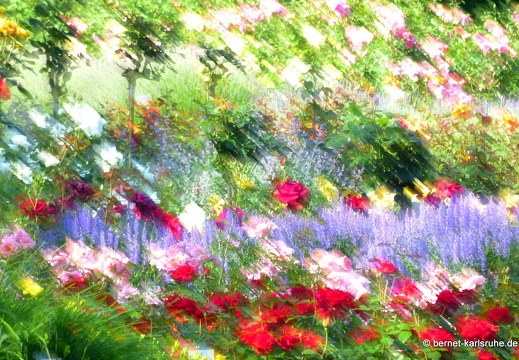 13-06-17-stadtgarten-rosengarten-065