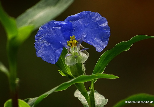 15-09-23-cagliari-orto botanico-136