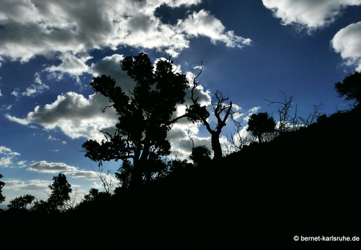 15-09-20-ct-morgenwanderung-235