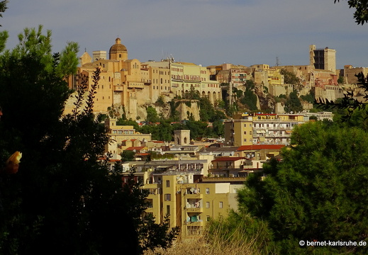 15-09-25-cagliari-parco di bonaria-014
