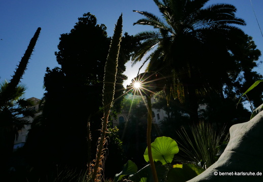 15-09-23-cagliari-orto botanico-040