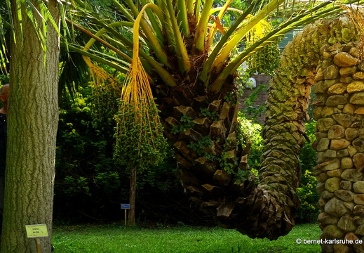 15-09-23-cagliari-orto botanico-055