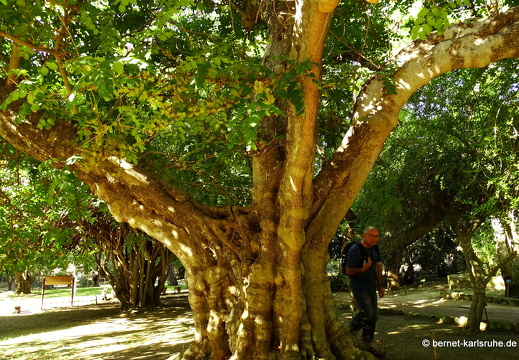 15-09-23-cagliari-orto botanico-110