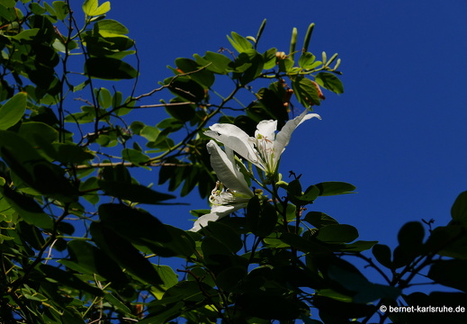 15-09-23-cagliari-orto botanico-125