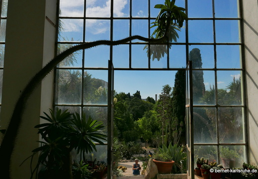 15-09-23-cagliari-orto botanico-206